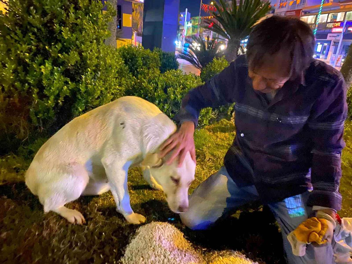 Hurda toplayarak geçimin sağlayan adamın sokak köpeği şefkati