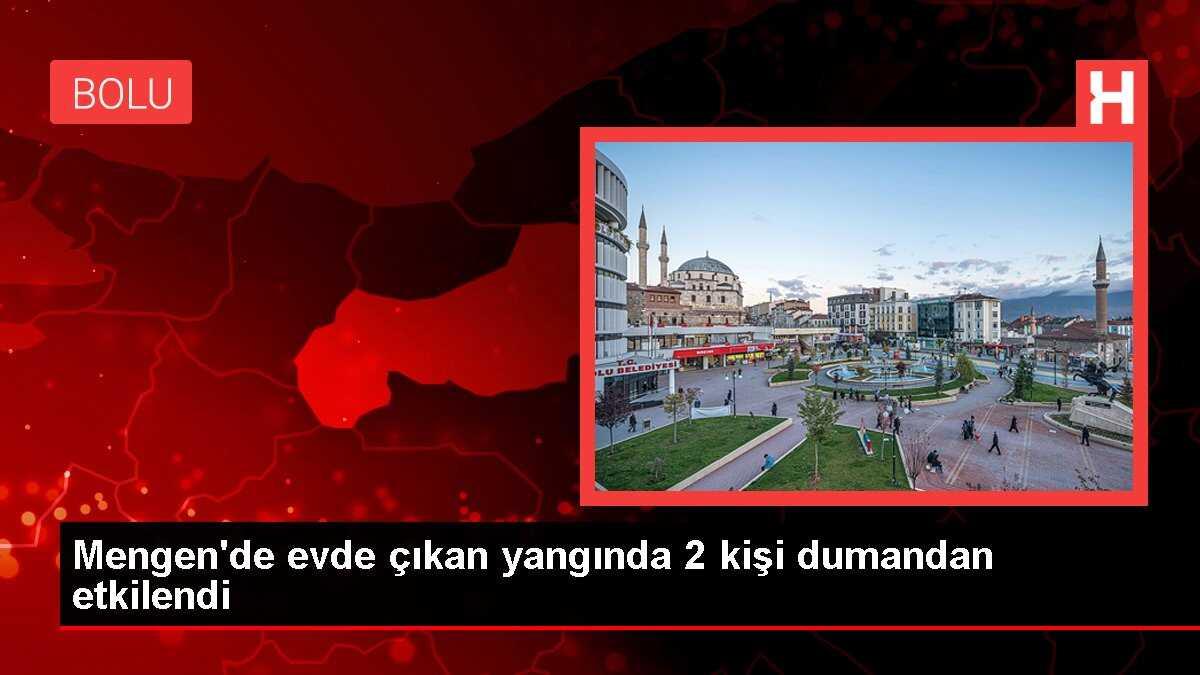 Mengen'de evde çıkan yangında 2 kişi dumandan etkilendi