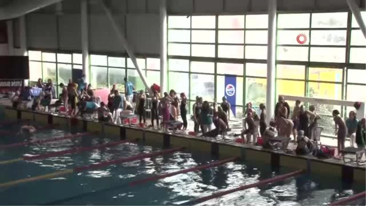 Paletli Yüzme Büyükler ve Gençler Türkiye Şampiyonası İstanbul\'da yapıldı