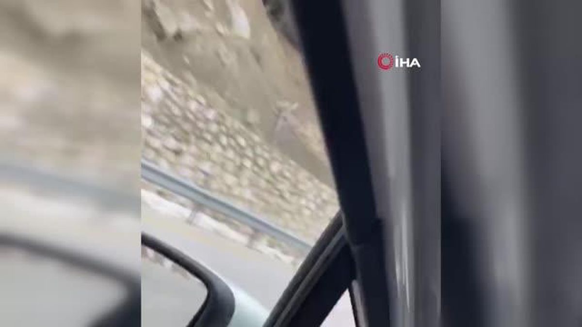 Yol kenarına inen ayılar kameraya böyle yansıdı