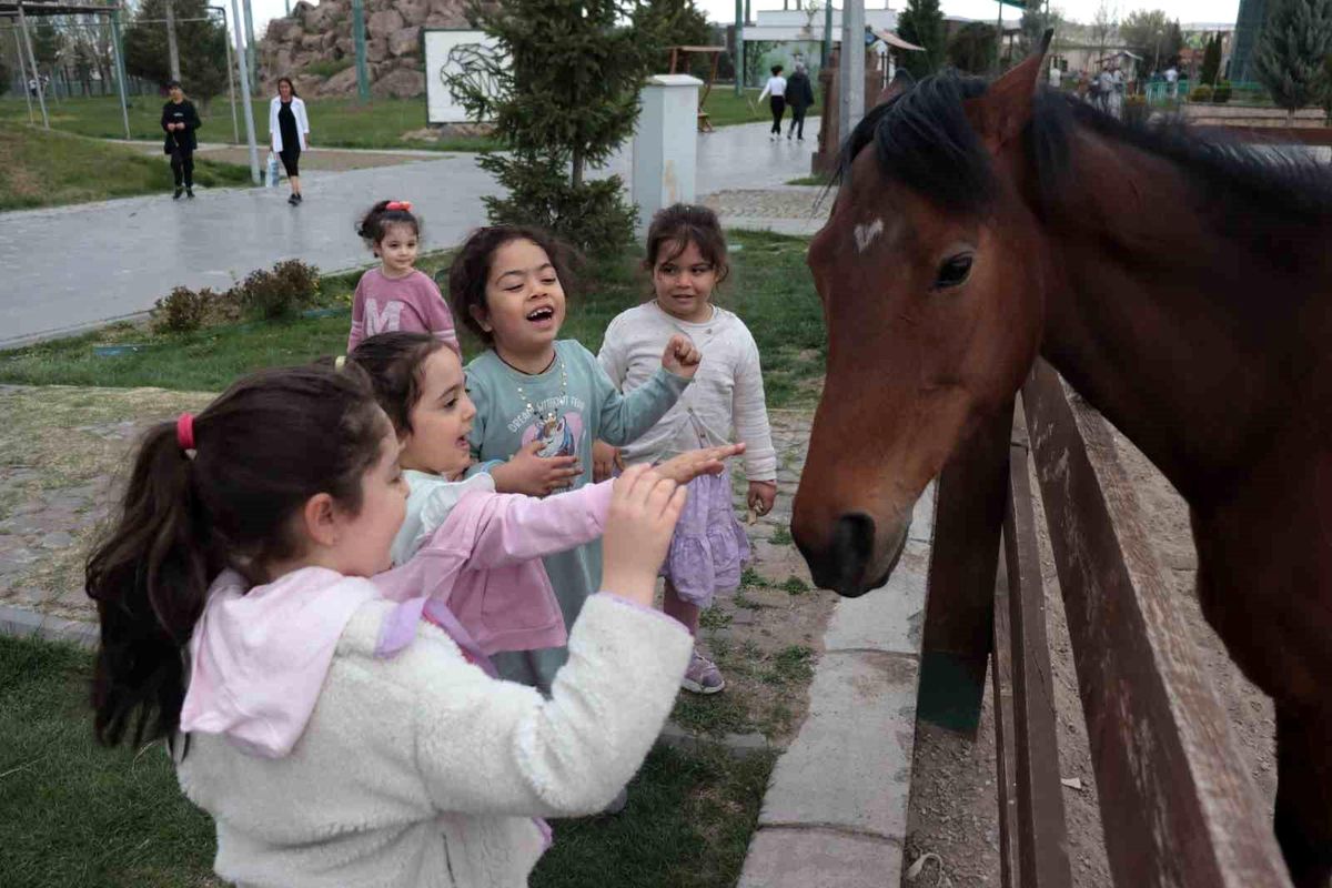 Ara tatilde hayvanat bahçesine yoğun ilgi