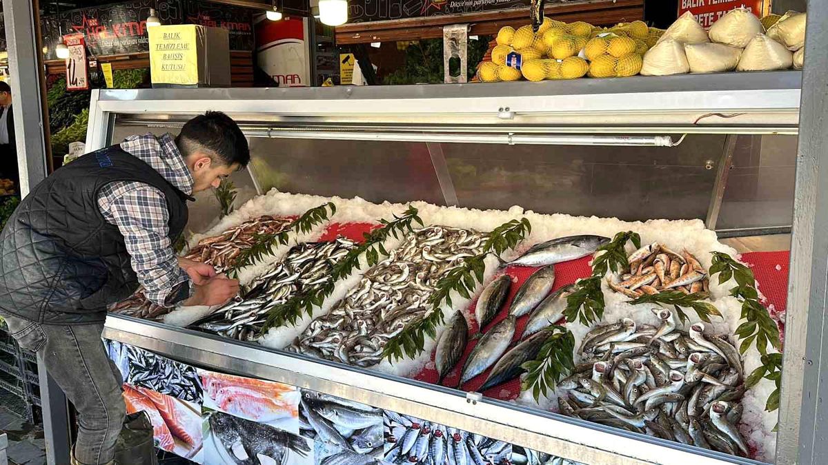 Avlanma yasağı başladı ama tezgahlardaki çeşitlilik bitmeyecek