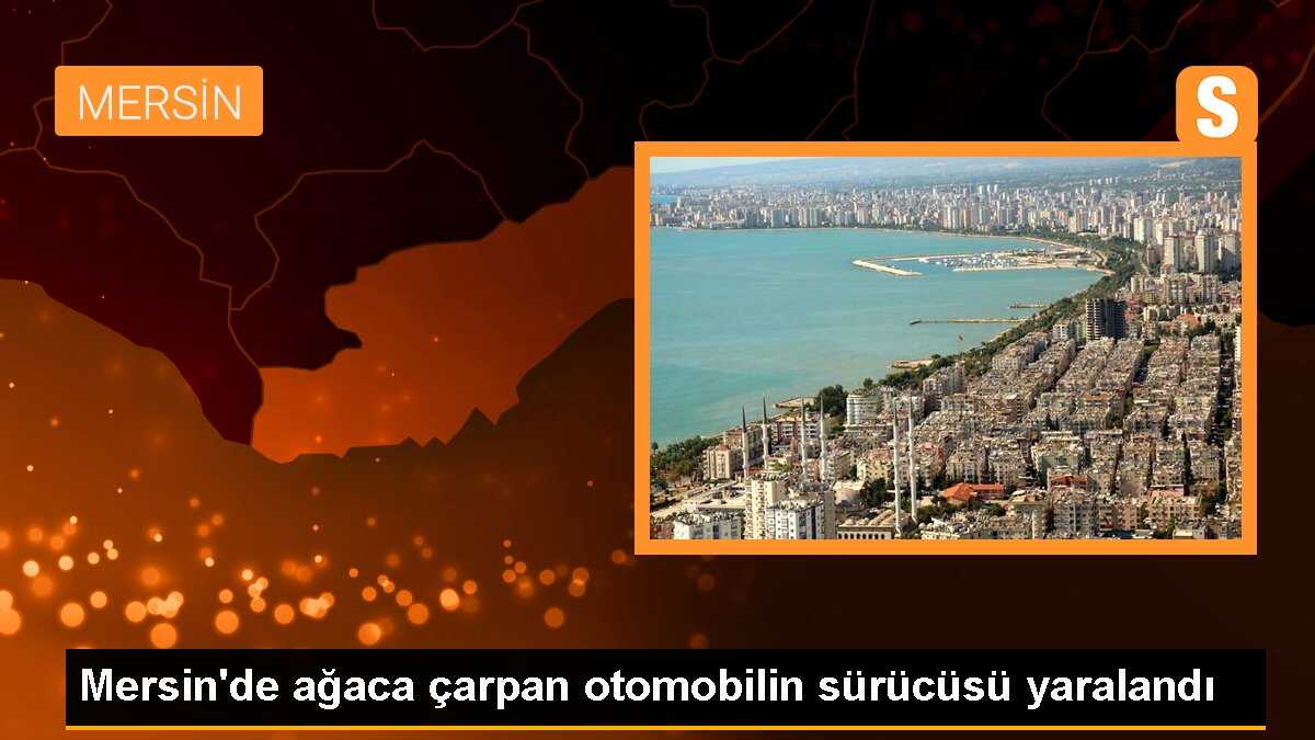 Mersin\'de ağaca çarpan otomobilin sürücüsü yaralandı