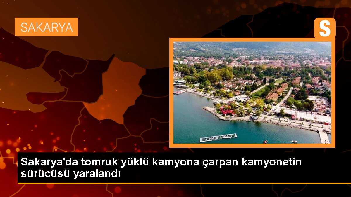 Sakarya\'da tomruk yüklü kamyona çarpan kamyonetin sürücüsü yaralandı