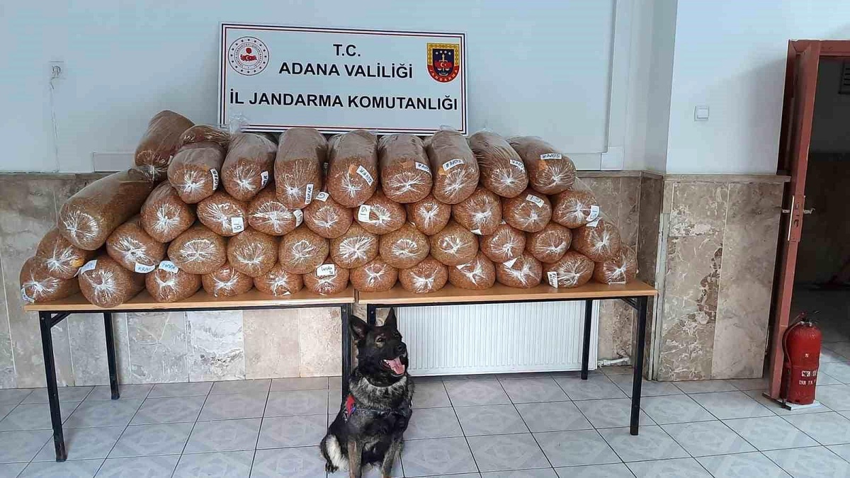 Adana\'da 925 kilogram kaçak tütün ele geçirildi
