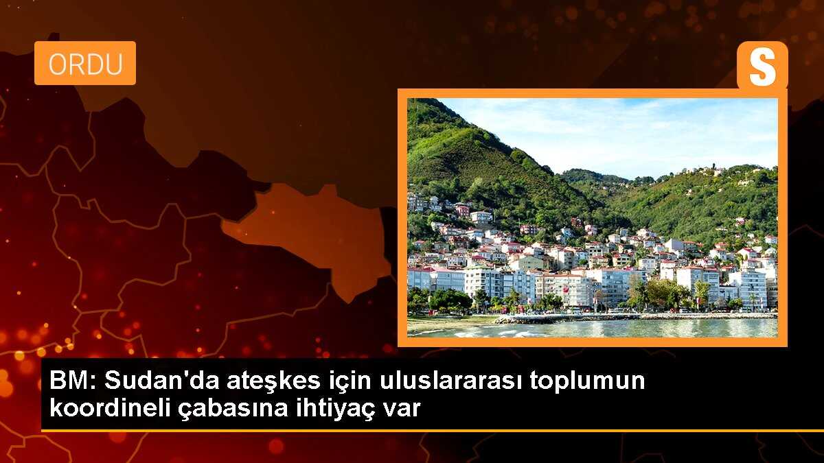 BM: Sudan\'da ateşkes için uluslararası toplumun koordineli çabasına ihtiyaç var