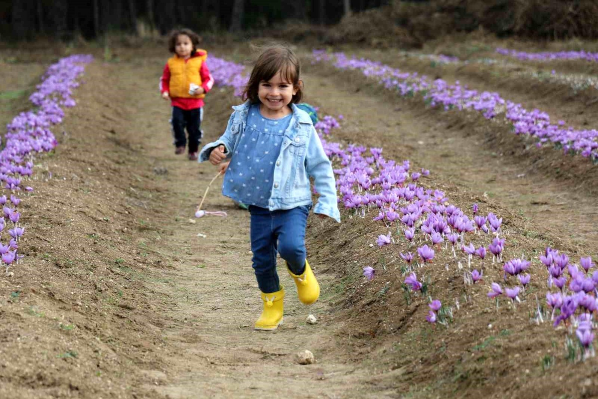 Karabük\'te nüfusun 47 bin 553\'ü çocuklardan oluşuyor