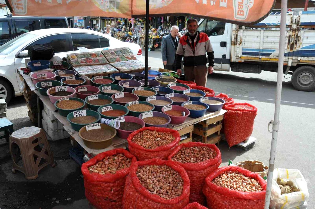 Kars\'ta bostan tohumları satışa sunuldu