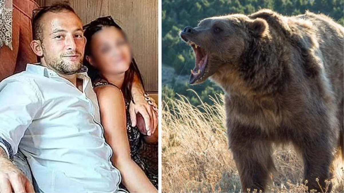 Koşucuyu öldüren ayı yakalandı! İtalya\'da herkes aynı soruyu soruyor: Öldürülsün mü?
