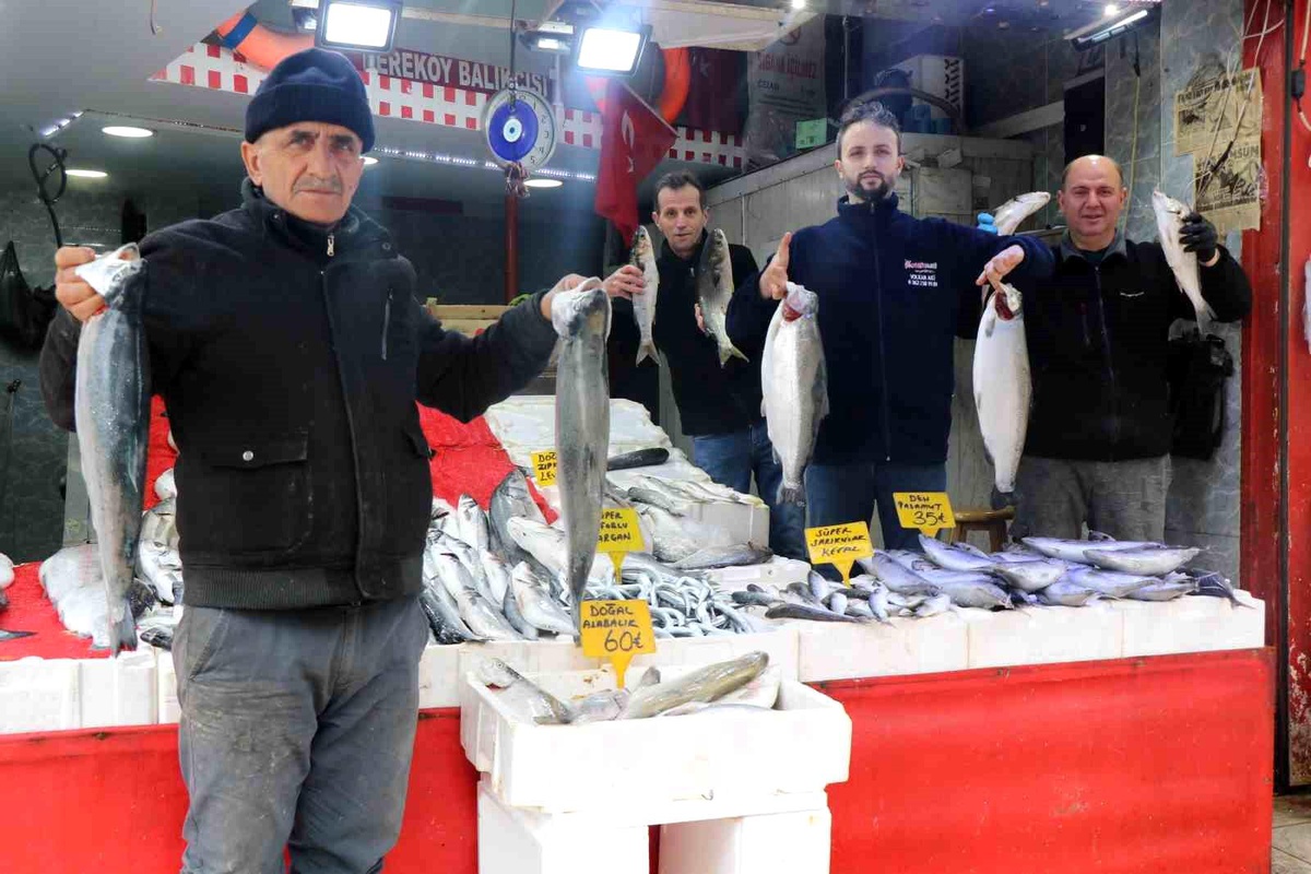 Mevsim balıklarının yerini kültür balıkları aldı