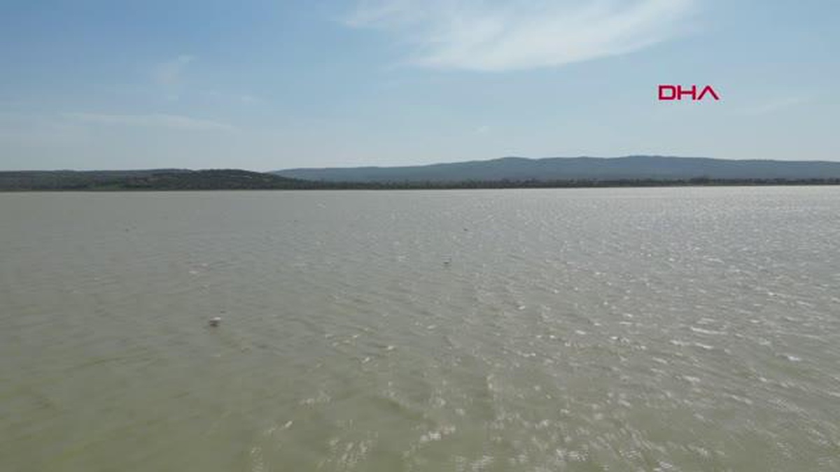 SUVLA GÖLÜ\'NÜN MİSAFİRİ FLAMİNGOLAR GELDİ
