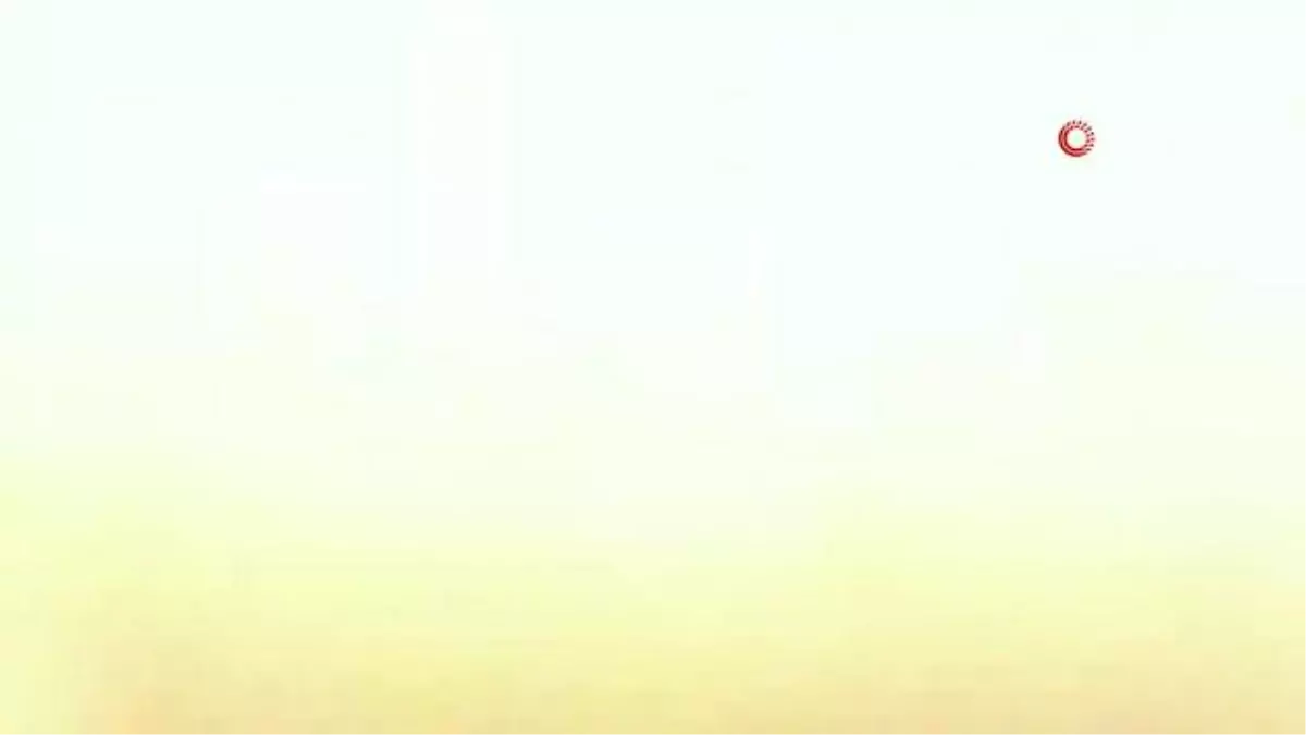 ABD\'de sürücü gölete düşen araçtan son anda kurtuldu