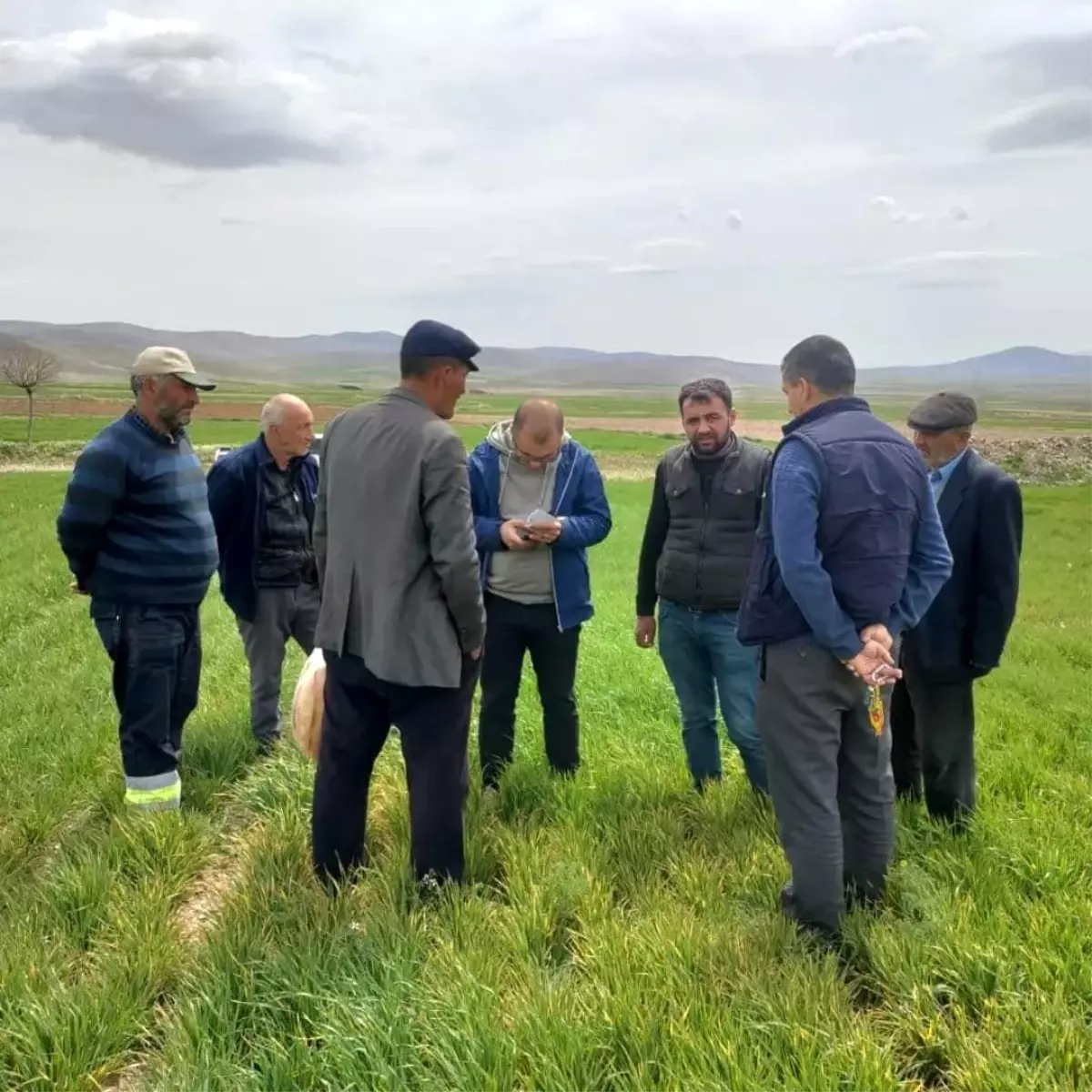 Ekinlerde görülen hastalıklara karşı bilgilendirme toplantısı yapıldı