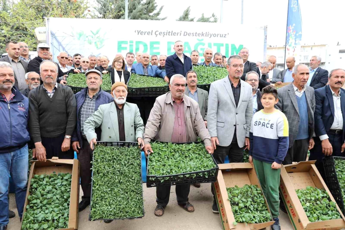 Gaziantep\'te çiftçilere 2 milyon adet fide desteği