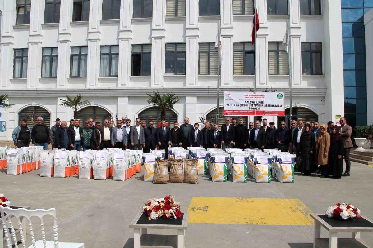 Yalova'da çiftçilere ayçiçeği tohumu dağıtıldı