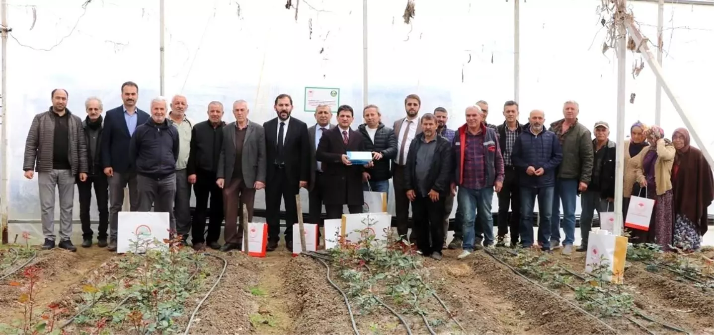 Yalova\'da kesme gül zararlısına karşı mavi yapışkan tuzak dağıtıldı