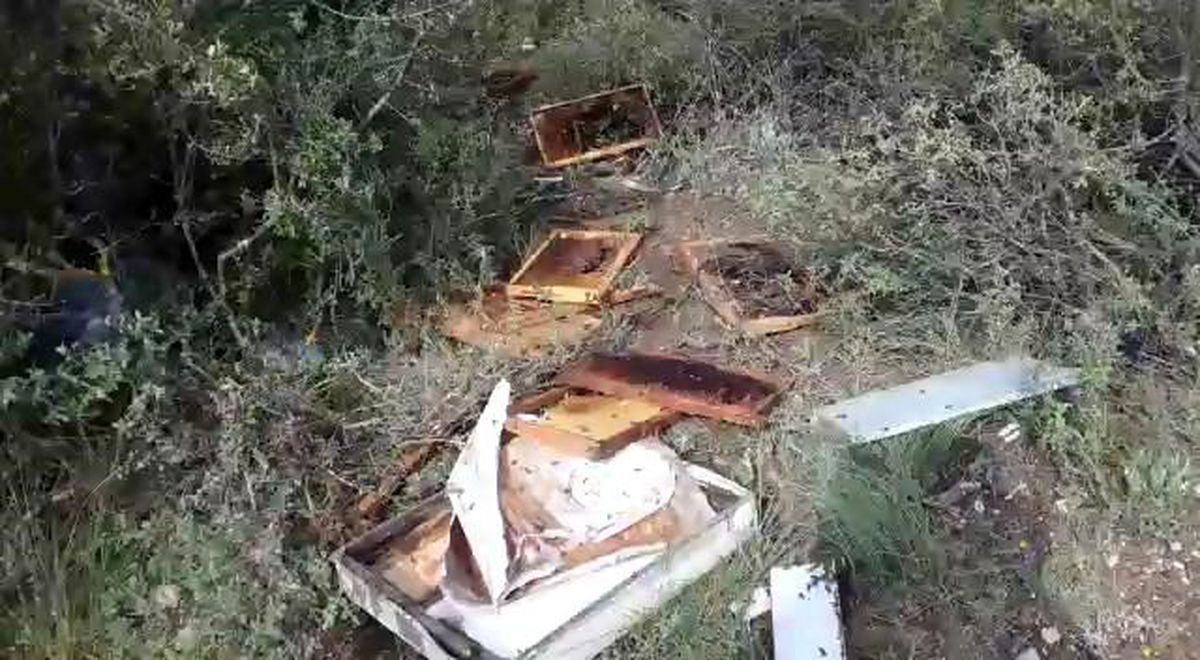 Aç kalan ayı İznik\'te 11 arı kovanını parçaladı