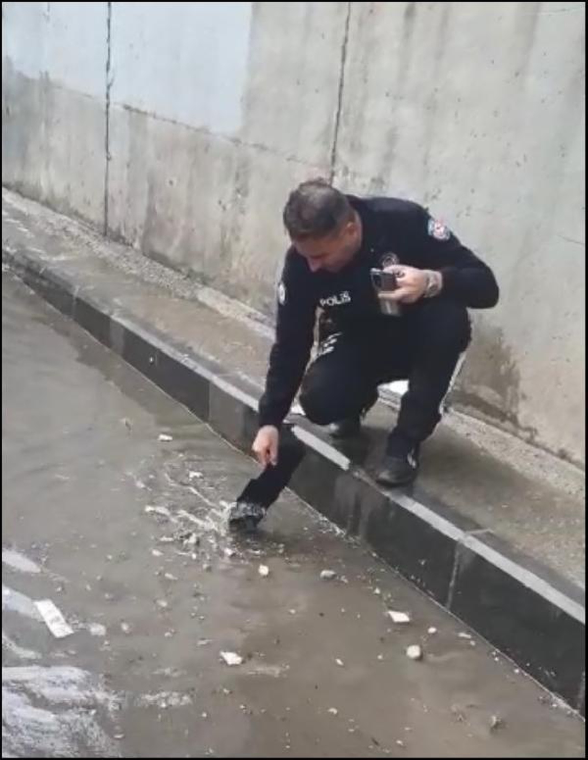 Diyarbakır\'da Ceviz Büyüklüğündeki Dolu Otomobillere Zarar Verdi, Bazı Hayvanlar Öldü