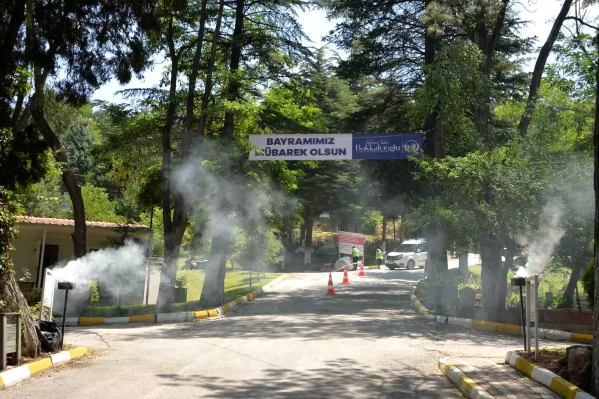 Bozüyük Belediyesi Mezarlıkta Çalışmalar Yaptı, Ücretsiz Ulaşım Hizmeti Sunacak