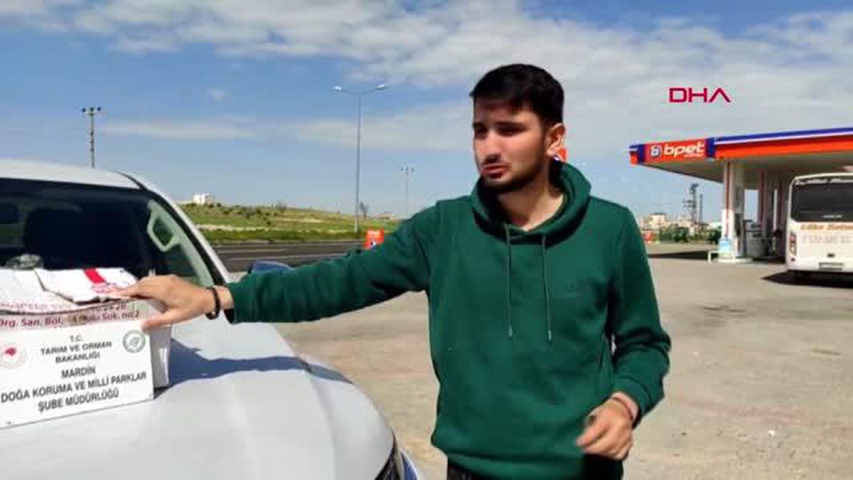 Mardin\'de Yolcu Otobüsünde 16 Yavru Sincap Bulundu