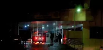 Bingöl'de Hayvanlarını Otlatırken Yıldırım İsabet Eden Kişi Yaralandı