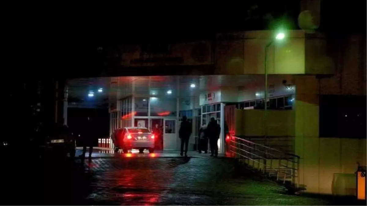 Bingöl'de Hayvanlarını Otlatırken Yıldırım İsabet Eden Kişi Yaralandı