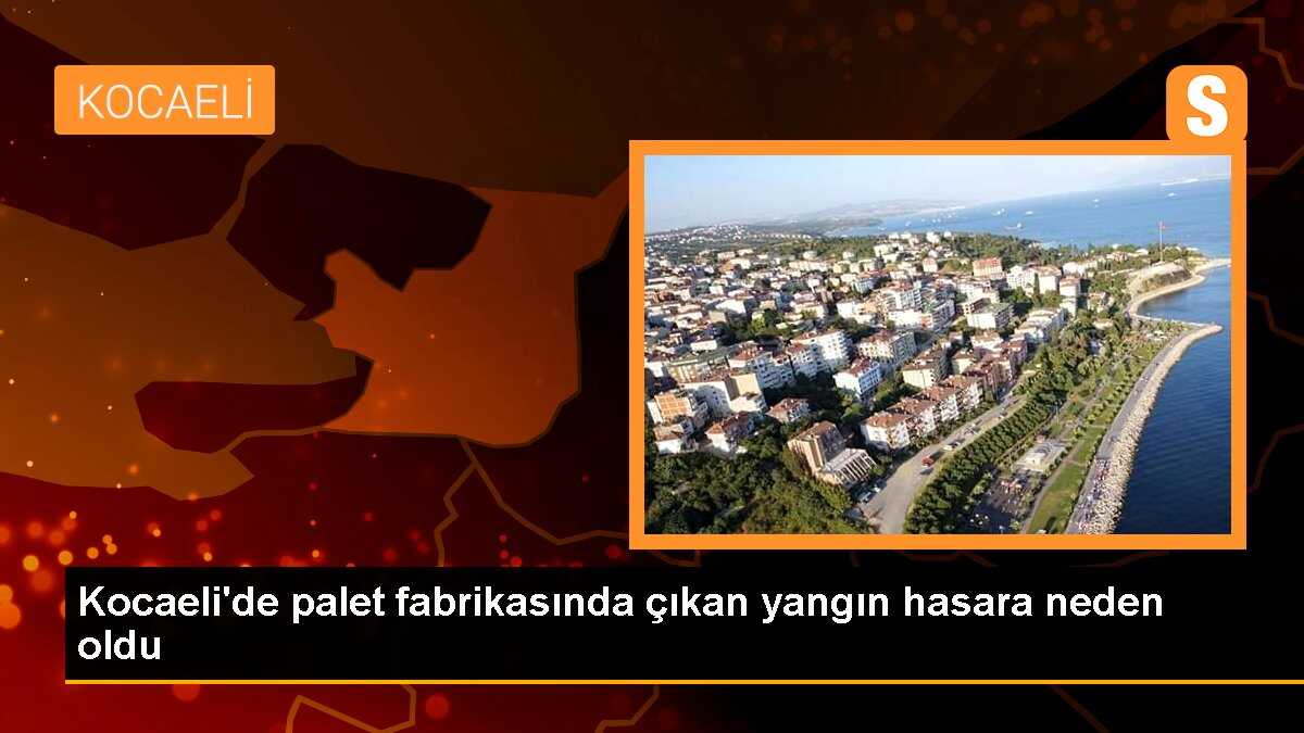 Kocaeli\'de Palet Fabrikasında Yangın Çıktı