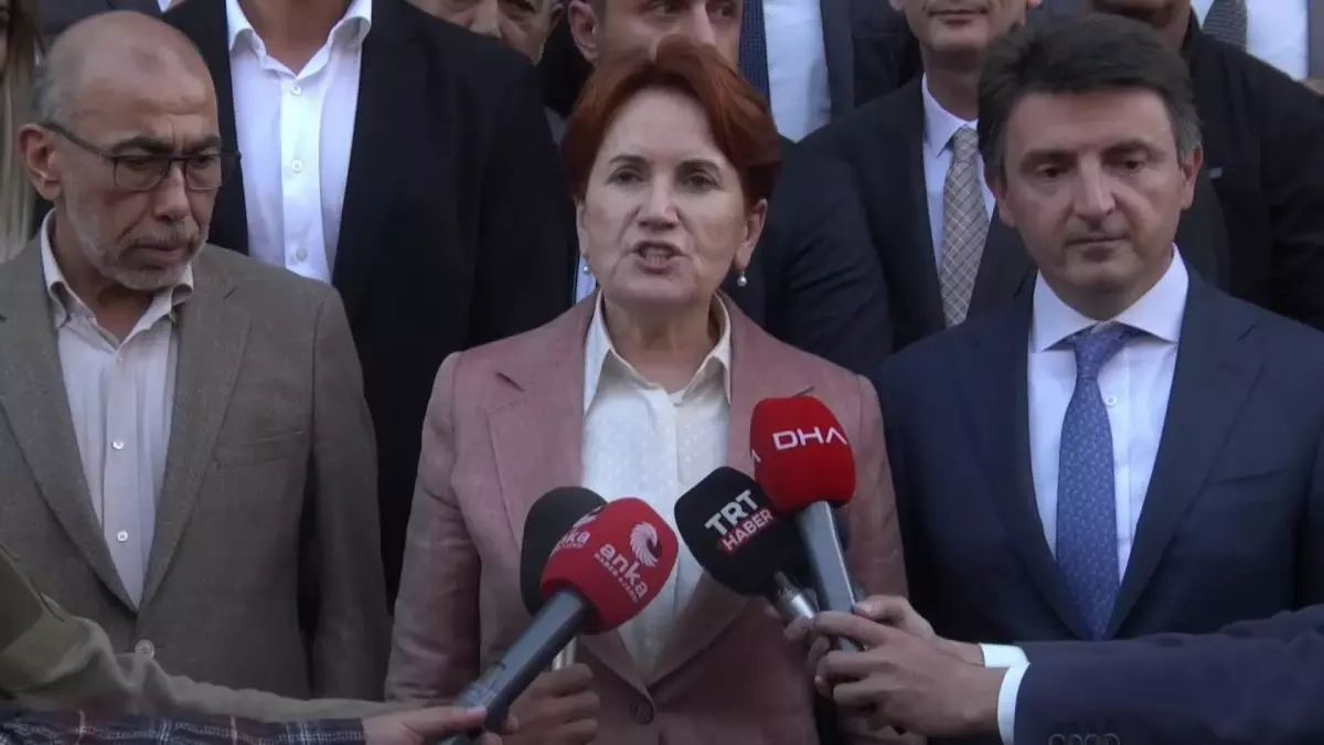 Meral Akşener, deprem bölgesindeki yılan tehlikesine dikkat çekti