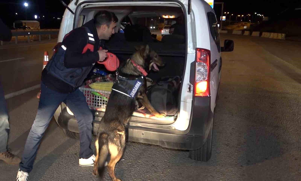 43 ilin geçiş güzergahında gece yarısı narkotik köpekli denetim