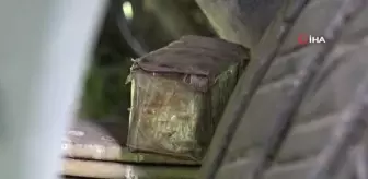 TSK'nın Köpek Eğitim Merkezi'nde Bomba Uzmanı Köpeklerin Eğitimi