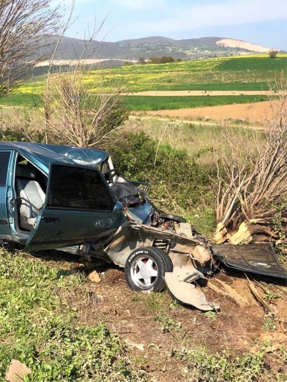 Bursa\'da Otomobil Yol Kenarındaki Ağaca Çarptı: Sürücü Hayatını Kaybetti