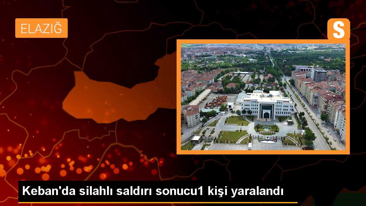 Keban\'da silahlı saldırı: 1 yaralı