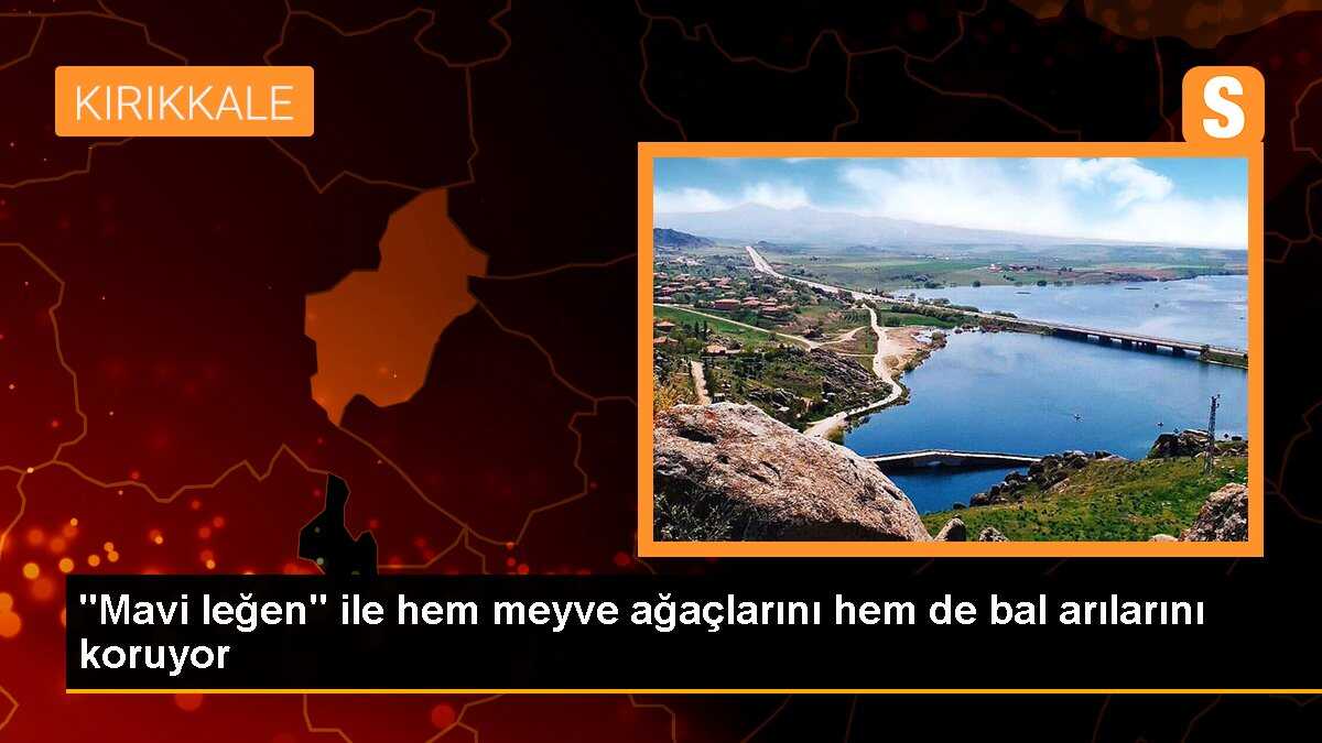 Mavi leğen ile meyve ağaçları ve bal arıları korunuyor
