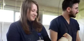 BUÜ'de beyaz et kekik aromasıyla lezzetleniyor