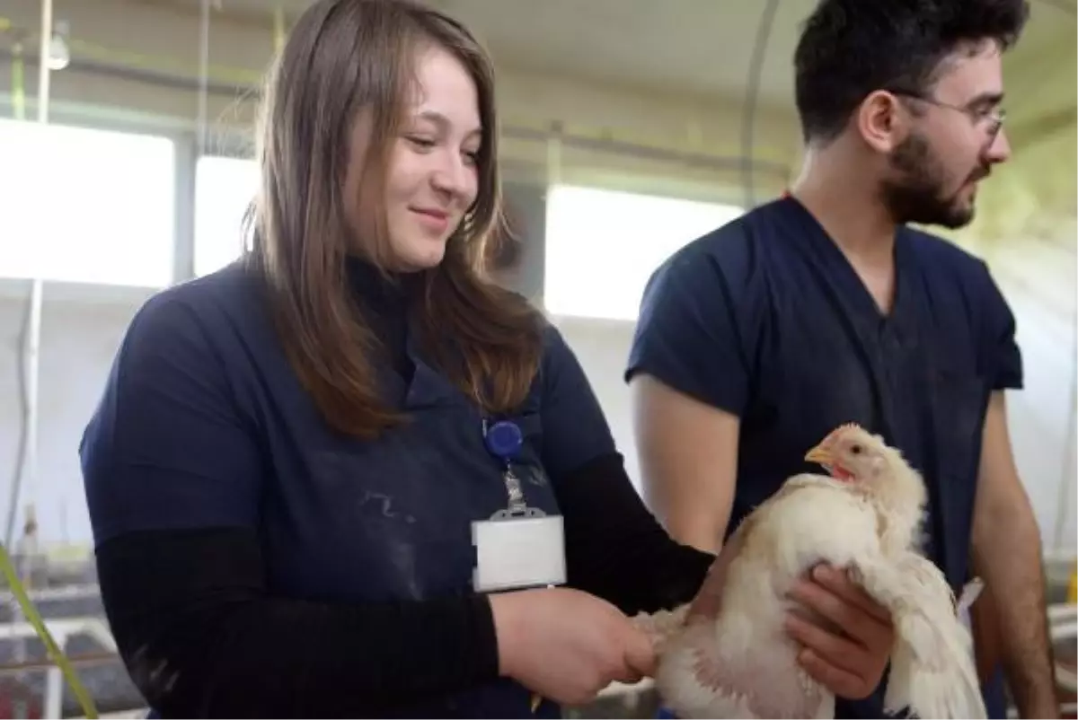 BUÜ'de beyaz et kekik aromasıyla lezzetleniyor