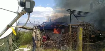 Gölcük'te çıkan yangında hayvanlar kurtarıldı