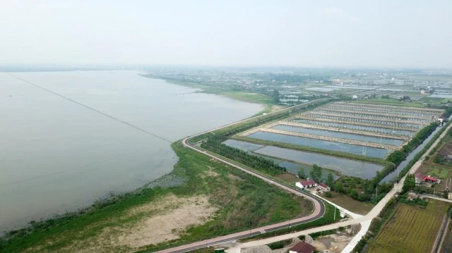 Çin'deki Datong Gölü Ekolojik Restorasyonla Yeni Bir Görünüm Kazandı