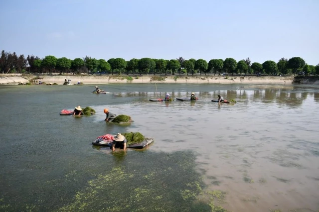 Çin'deki Datong Gölü Ekolojik Restorasyonla Yeni Bir Görünüm Kazandı