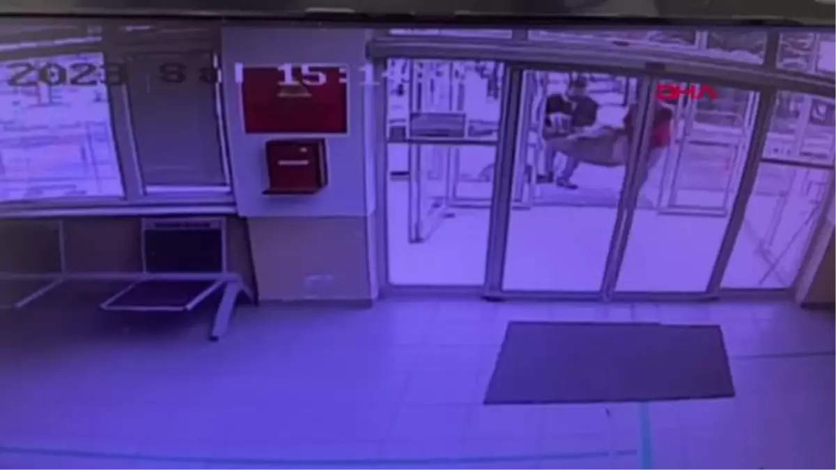 Yaralı köpek Bursa\'da tedavi edildi