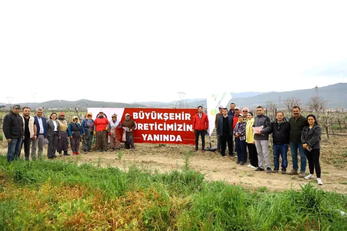 Denizli\'de 3 bin 900 dekar alanda biyoteknikle mücadele desteği