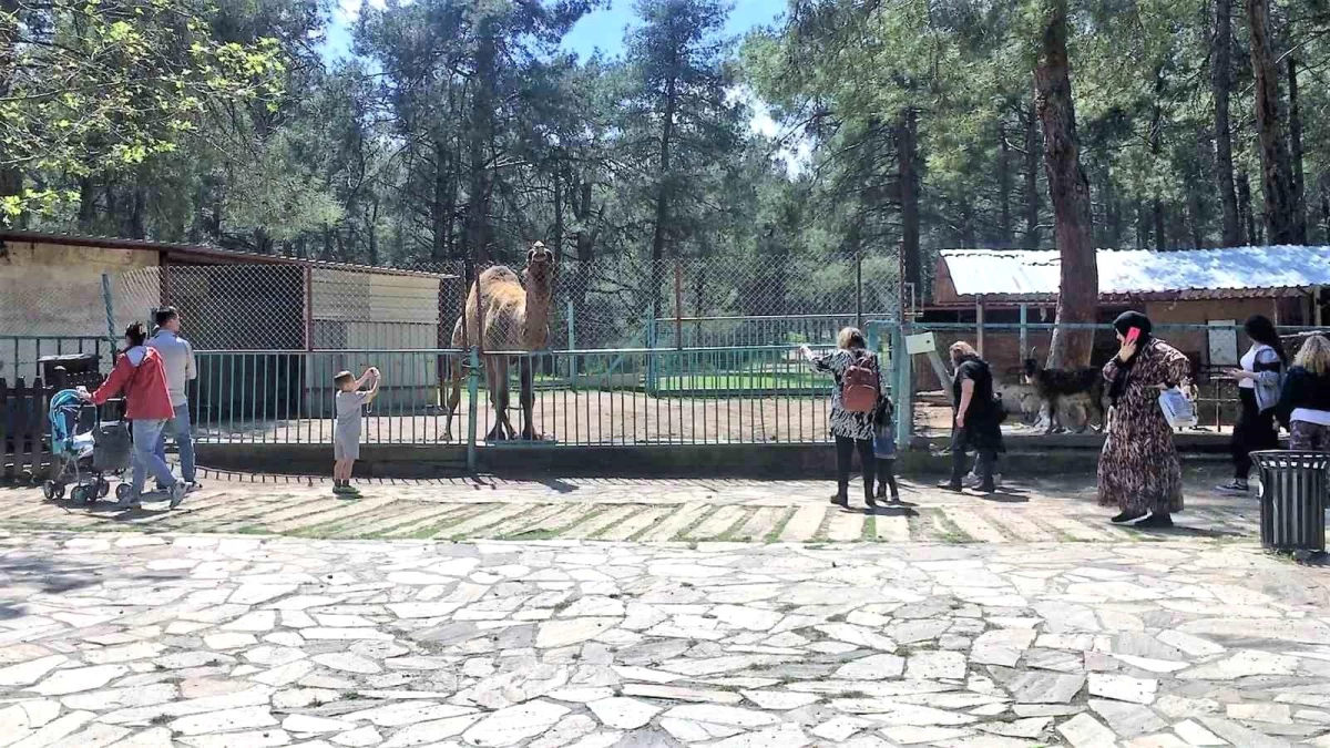 Hayvanat bahçesinde çocuk ısırılması sonrası önlemler artırıldı