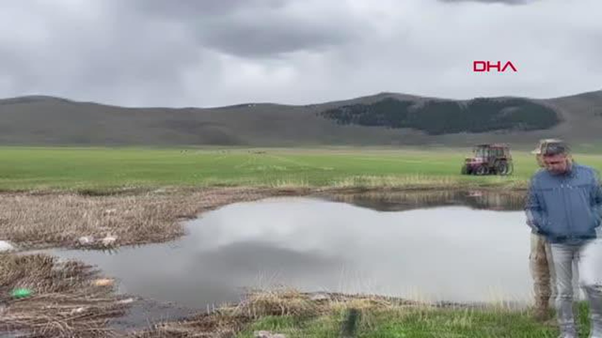 Ardahan\'da mahsur kalan ineklerini kurtarmak için çayda kaybolan besici ölü bulundu