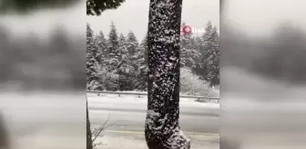 Ilgaz Dağında Nisan Ayında Kar Sürprizi