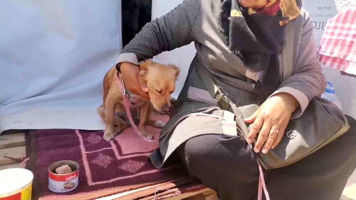 Köpeğiyle birlikte depremzedelerin yaşadığı çadır kentte hayatta kalan kadın