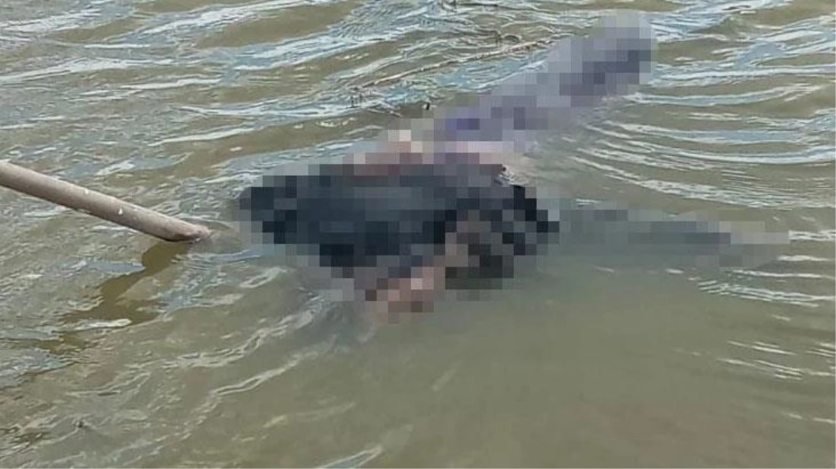 Oltasına takılan kadın cesediyle şoke olan balıkçı, hemen yetkililere haber verdi
