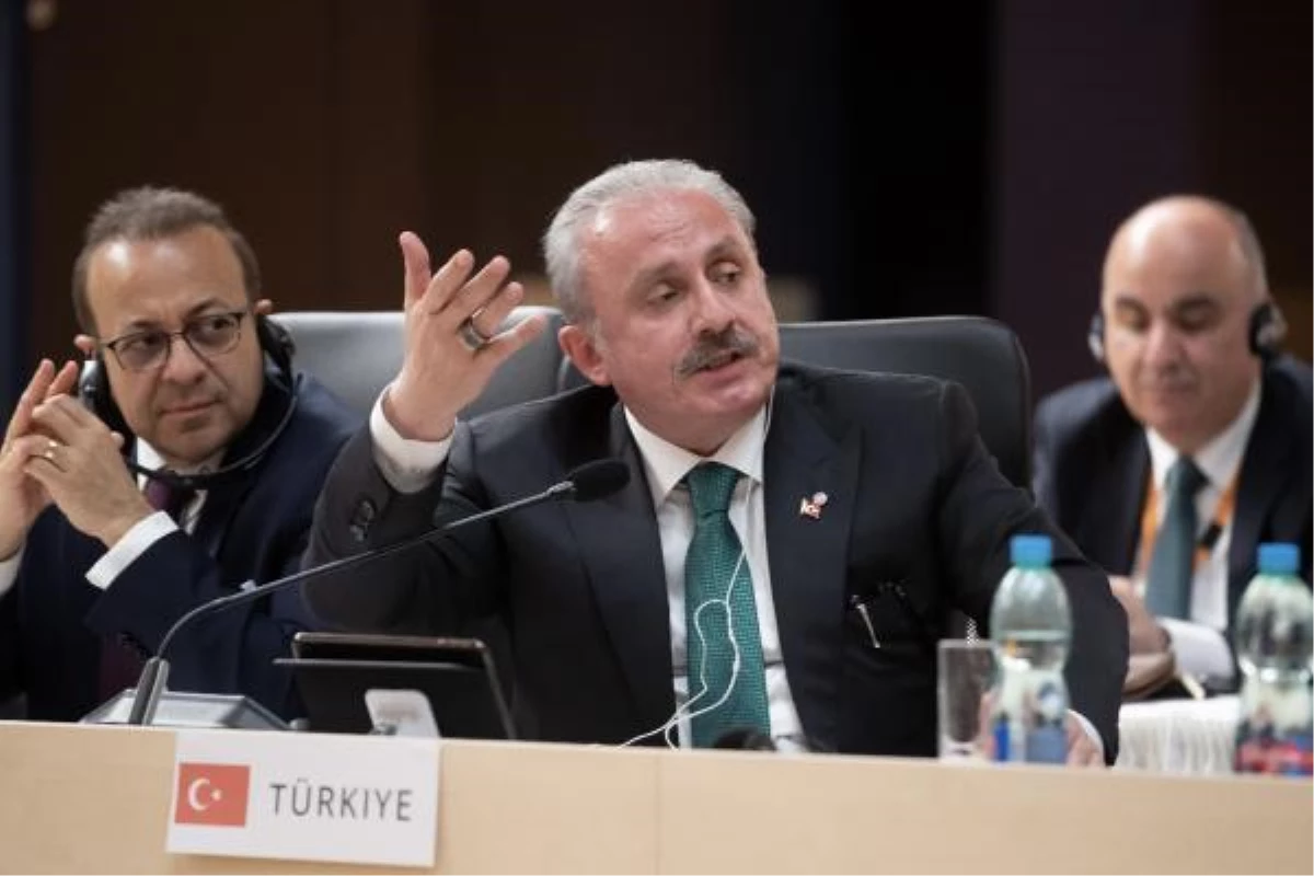 TBMM Başkanı Mustafa Şentop AB Parlamento Başkanları Zirvesinde konuştu