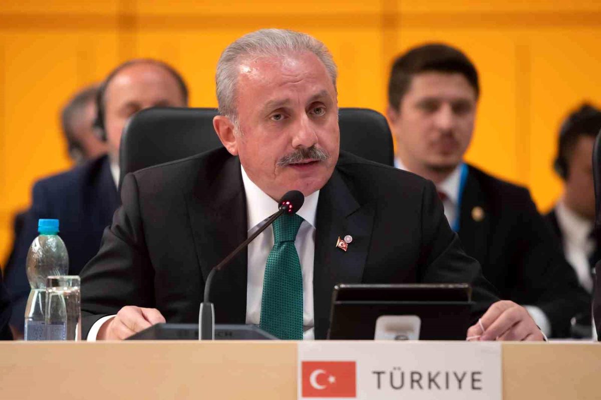 TBMM Başkanı Şentop: "AB gibi bir gücün, bazı ülkelerin kaprislerine, oyunlarına, manasız siyasi ve dini önkoşullarına esir olması kabul edilebilir...