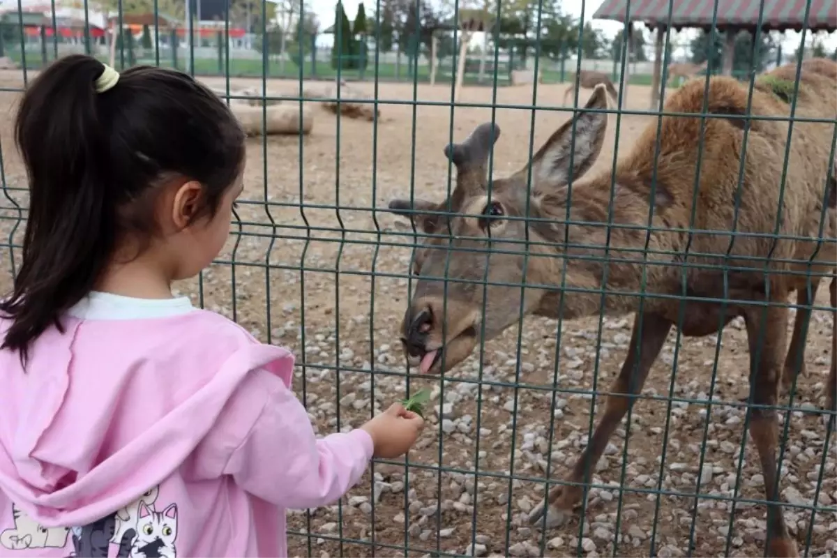Kayseri Hayvanat Bahçesi Bayramda 100 Bin Kişi Tarafından Ziyaret Edildi