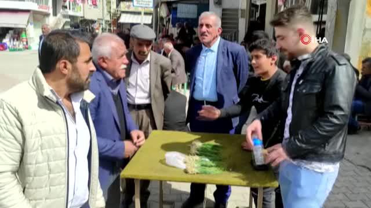 Zuzubak otu yüksek dağlarda yetişiyor ve yok satıyor