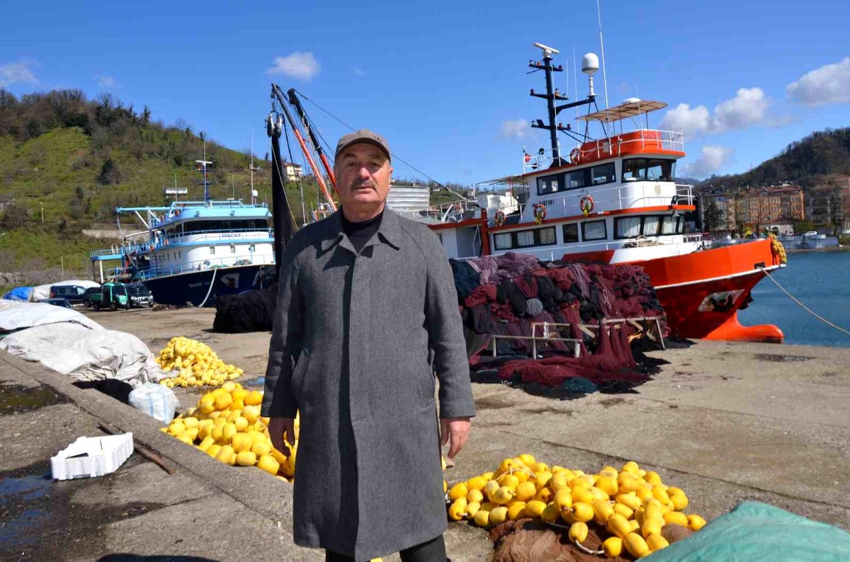 Ordulu Balıkçılar Palamut Balığı İle Bereketli Sezon Geçirdi